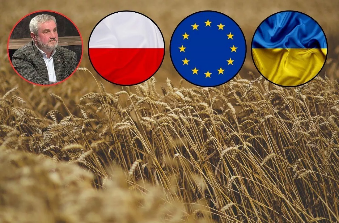 „To nie krasnoludki”. Ardanowski ujawnia, kto sprowadzał zboże