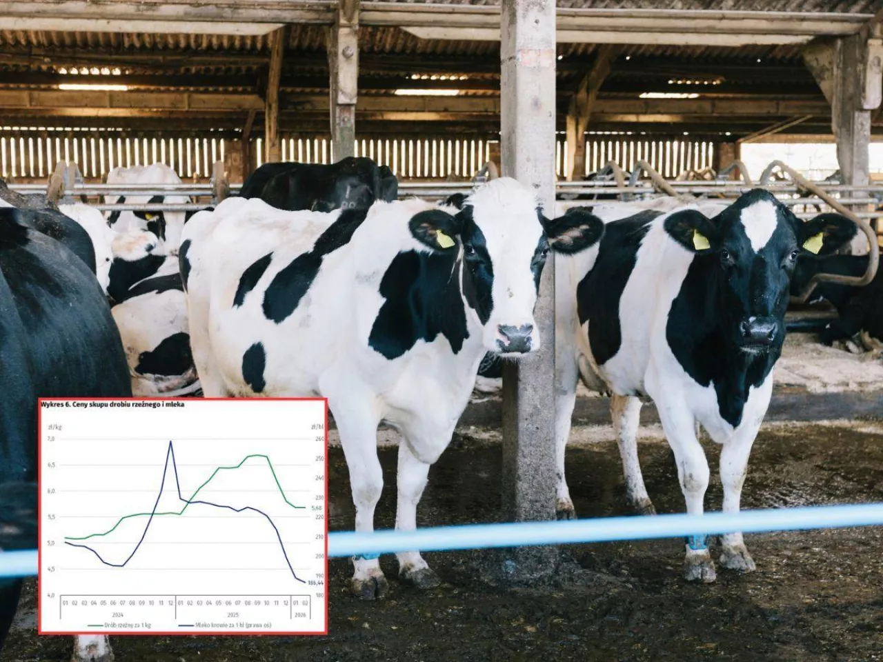 Ceny skupu mleka w lutym 2026 r.