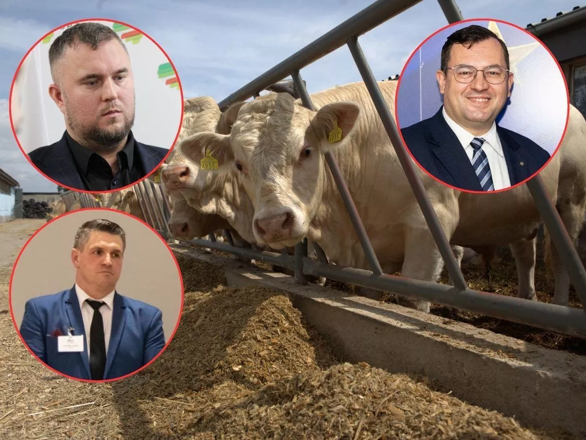 Rolnicy: państwo zawiodło. Minister tłumaczy brak skargi do TSUE