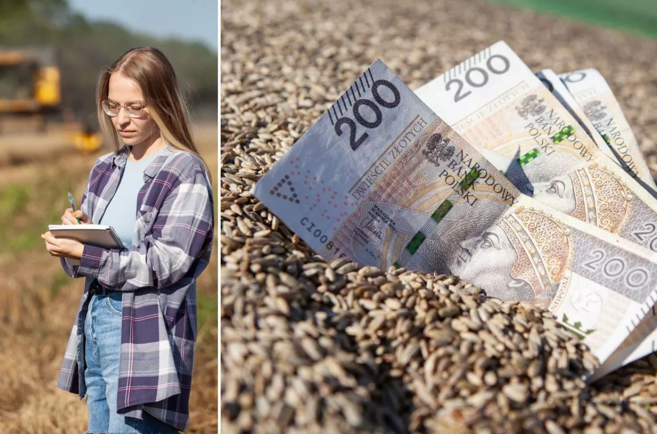 Rolnik w plecy choćby 3800 zł/ha. Kukurydza i zboża na minusie