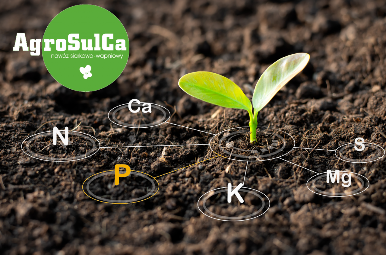 Wartościowy fosfor ucieka z gleby? Złap go i wykorzystaj jego potencjał w całości