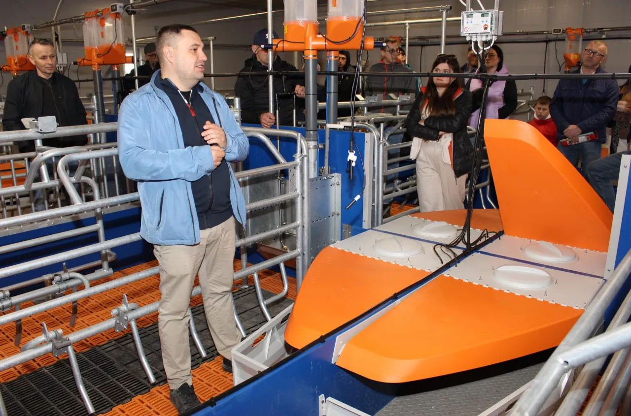 Bez węgla i bez kupowania nawozów. Rolnik pokazuje, jak działa jego chlewnia