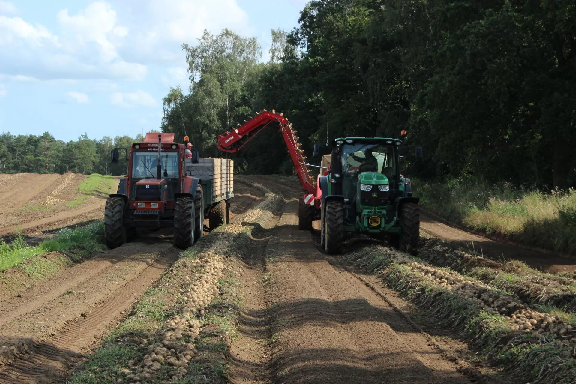 „Parametr o włos za niski i transport wraca”. Rolnicy bez wyjścia