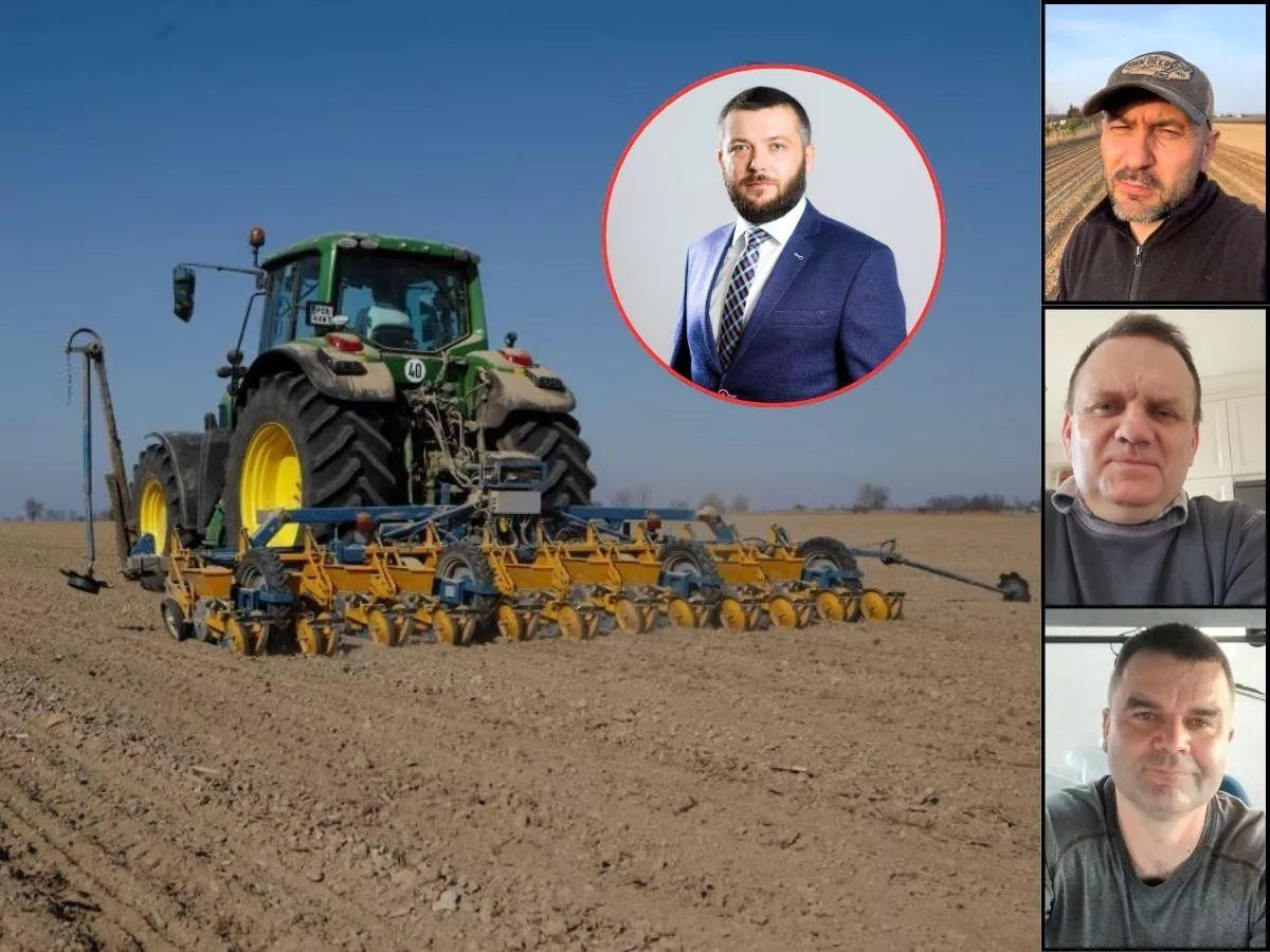70 tys. zł za nasiona, a ceny skupu lecą w dół. „Polegniemy w każdej dziedzinie”