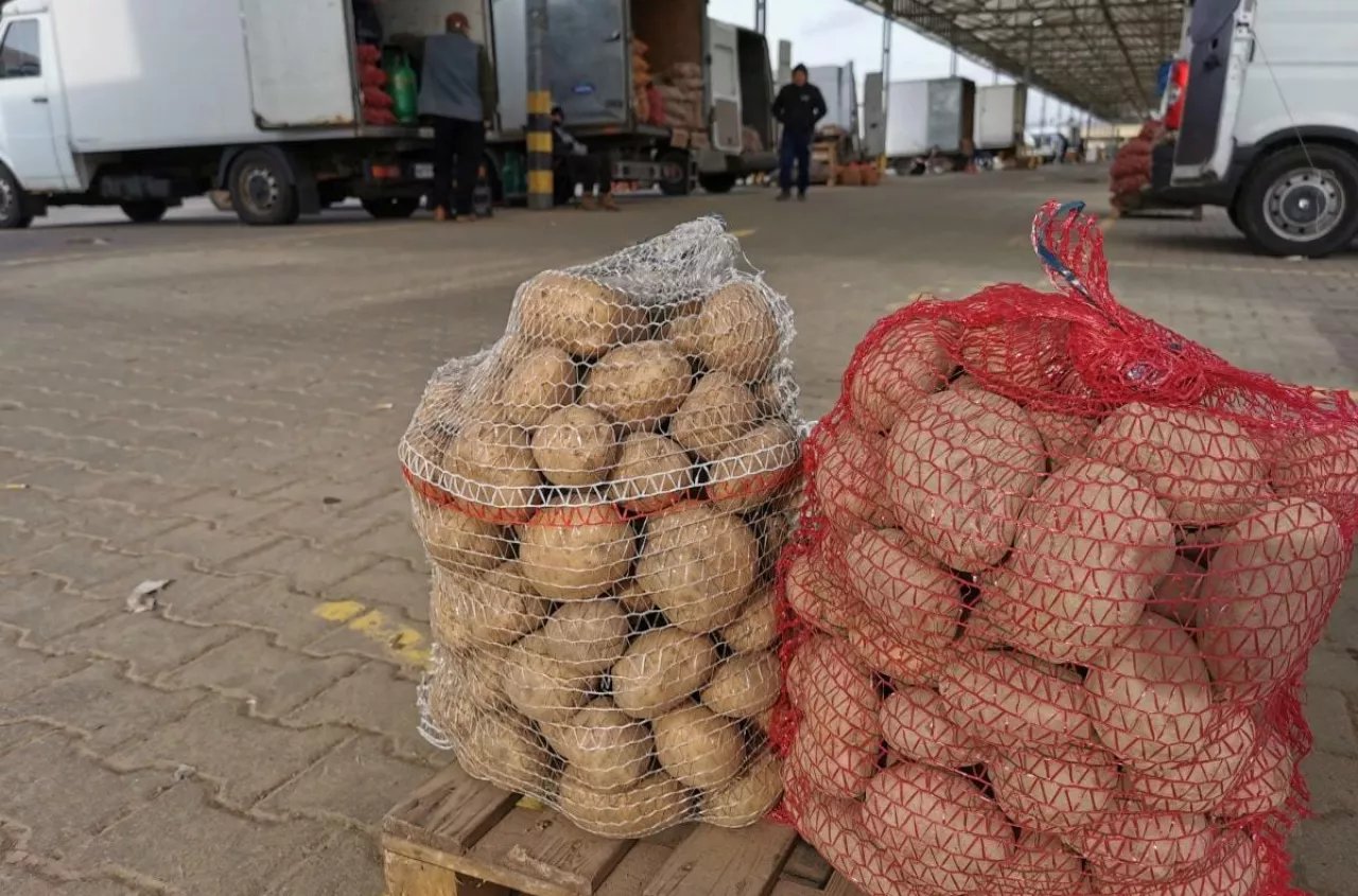 Skrajne ceny na Broniszach. Pomidory choćby 27 zł, ziemniaki za grosze
