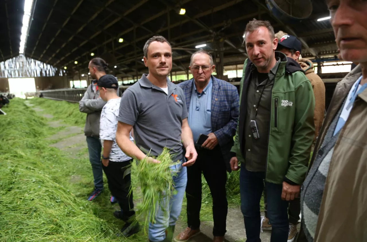 Zobacz, jak gospodarują rolnicy w Japonii, Rumunii i Niemczech