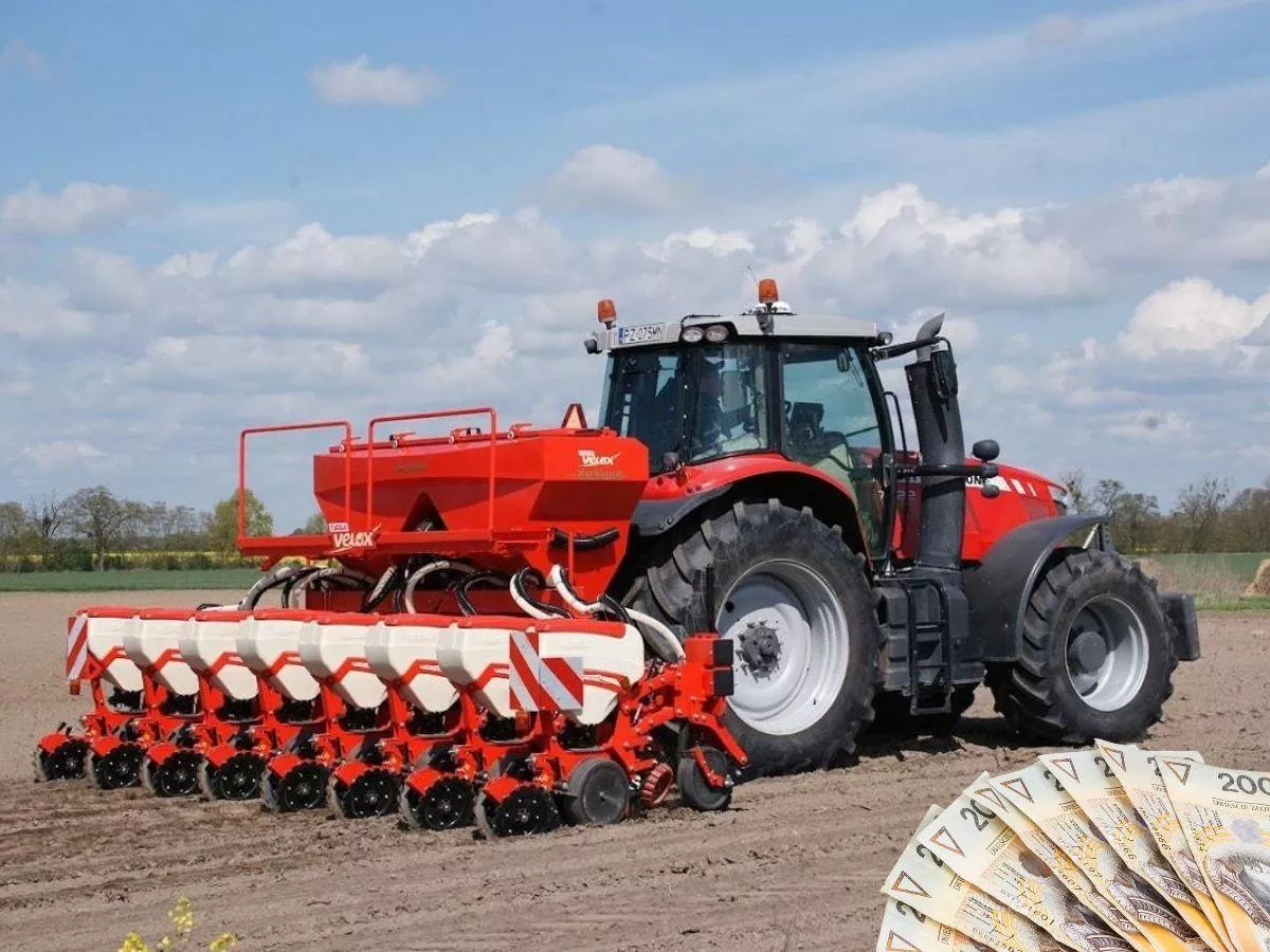 Ceny siewu kukurydzy 2026. Ile zapłacisz za usługę?