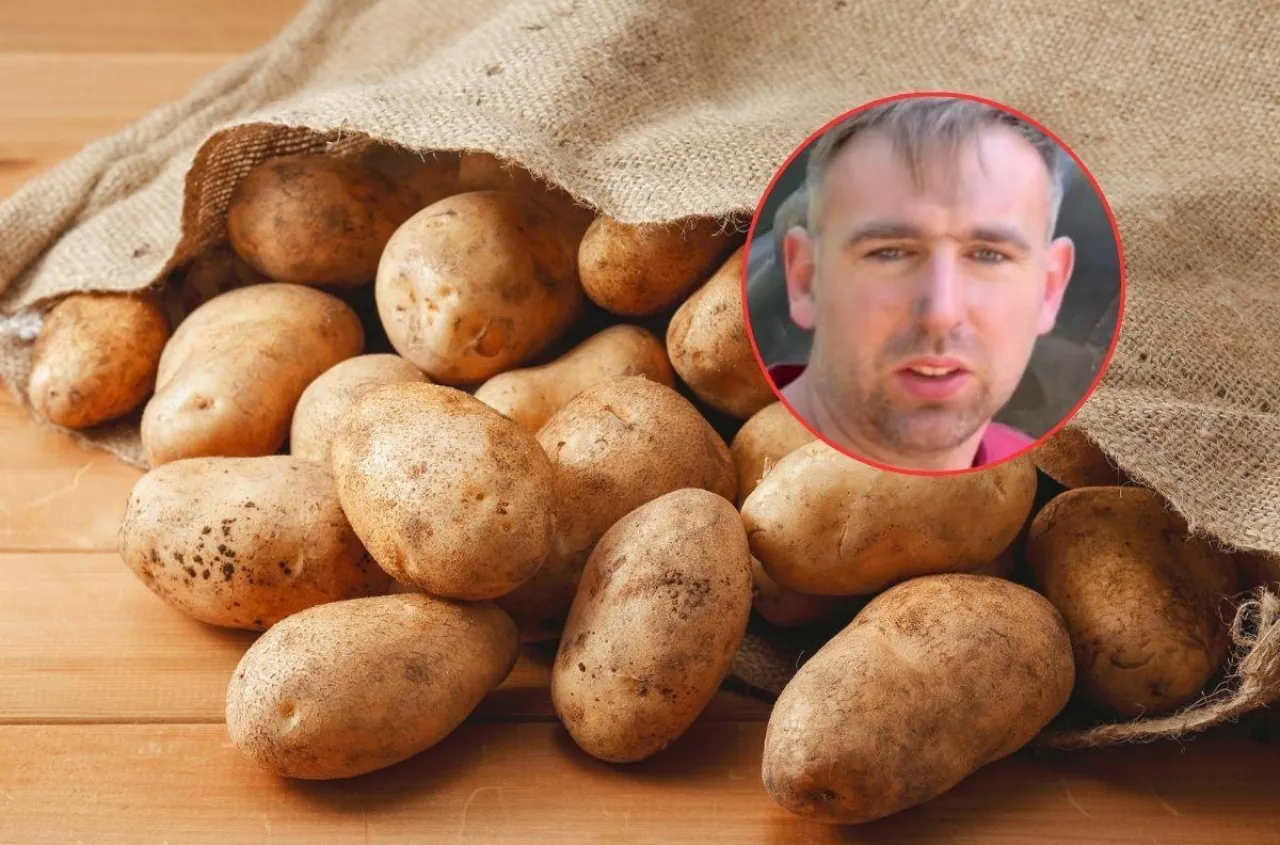 Jeszcze nie posadzili, a cena już spadła o 30%. Rolnik: mam to robić za darmo?