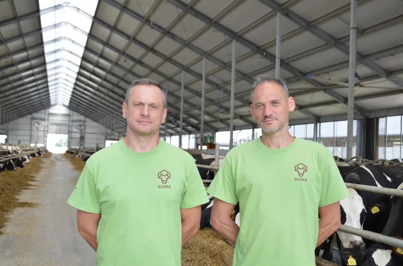 Jeszcze 15 lat temu ledwo wiązali koniec z końcem. Dziś mają 600 krów