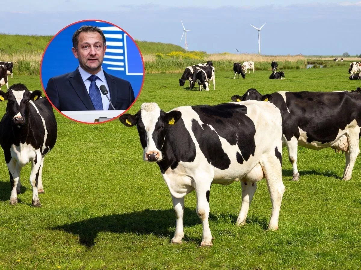 Ceny mleka lecą w dół. Część państw UE naciska na cięcia i dopłaty