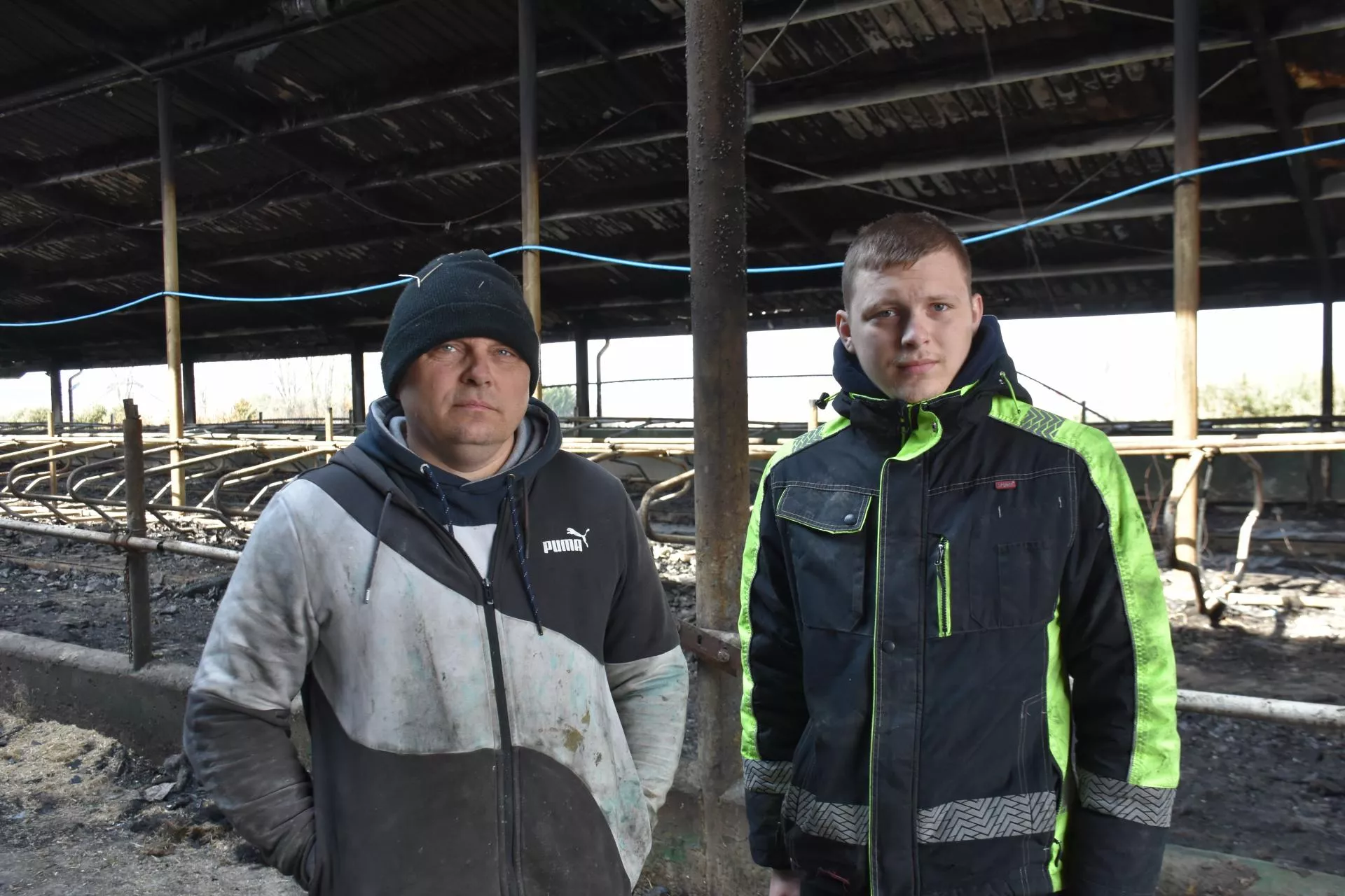 W 20 minut stracili dorobek życia. 130 krów nie udało się uratować