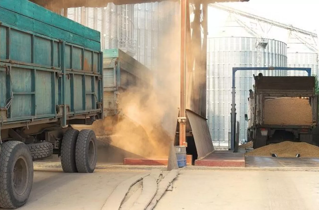 Na rolniku zarabiają dwa razy. A to on ponosi największe ryzyko