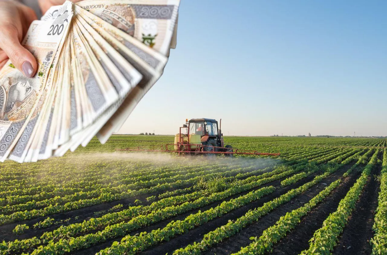 Jakie dopłaty dla małych gospodarstw w 2026 roku?