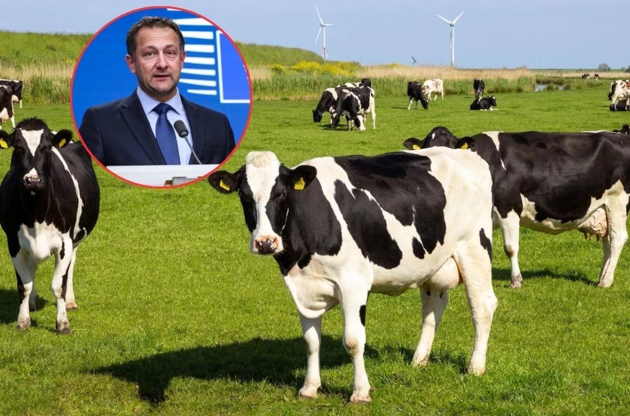 Ceny mleka lecą w dół. Część państw UE naciska na cięcia i dopłaty