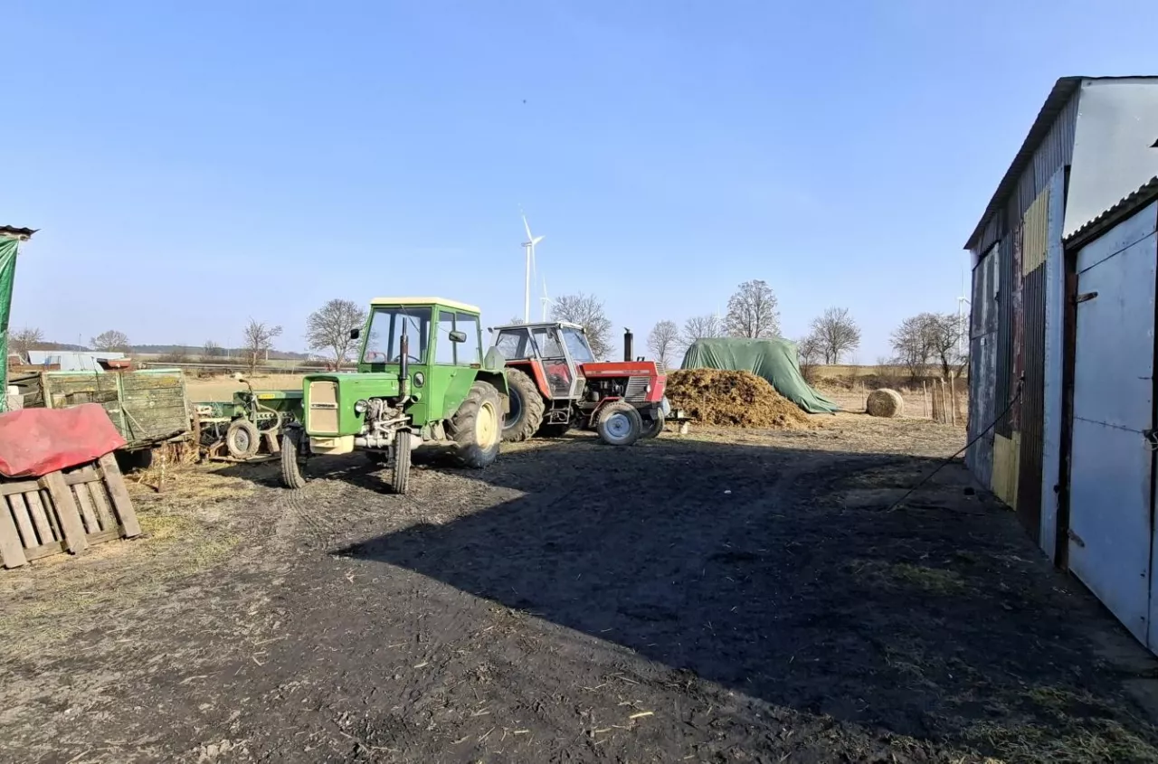 Pozwali rolnika za 50 świń. Teraz chcą od niego 60 tys. zł