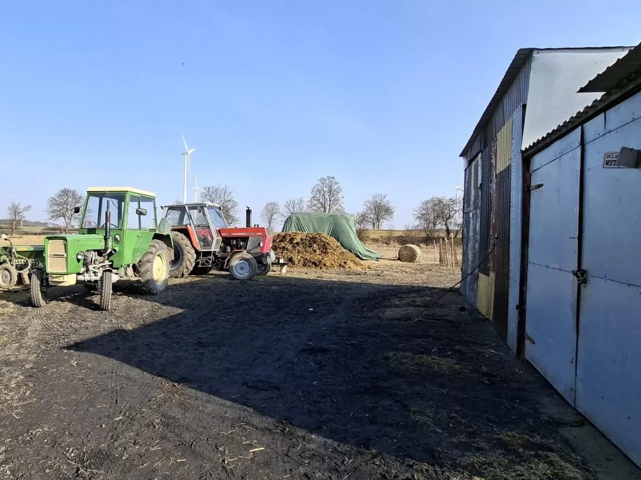 Proces za 50 świń. Sąsiedzi chcą 60 tys. zł od rolnika
