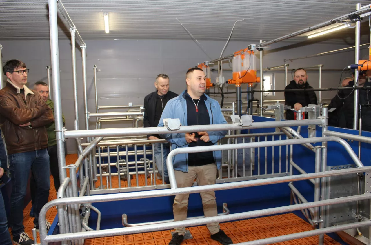 Wydał 7 mln zł i zmienia zasady gry. Tak dziś hoduje świnie