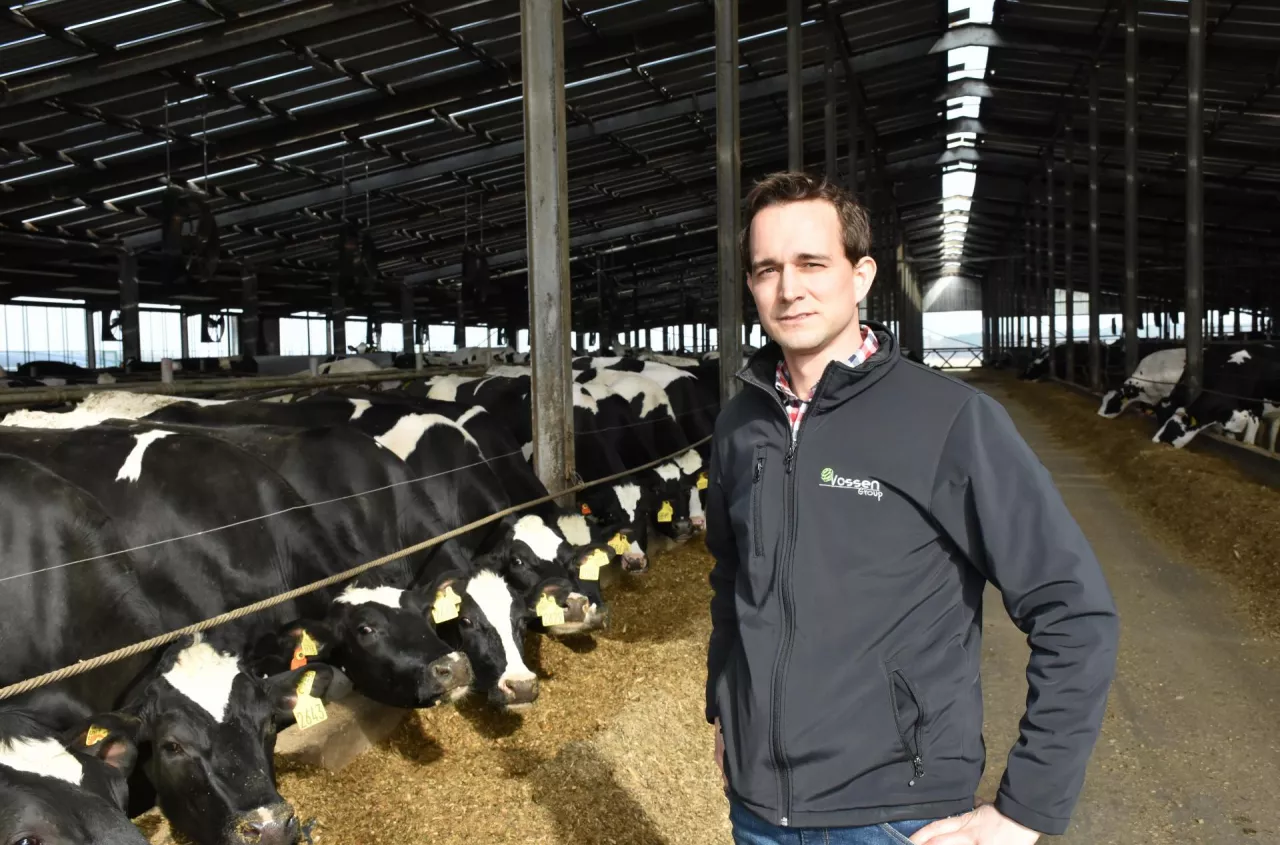 Holender przejął PGR w Polsce. Dziś ma 1400 krów