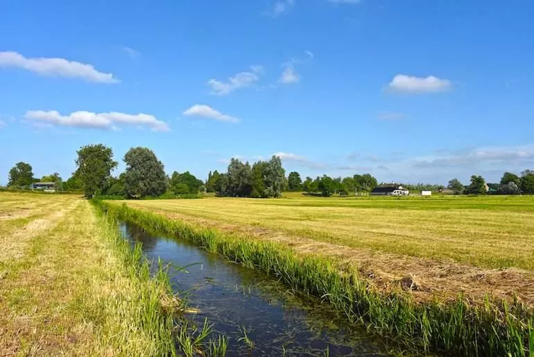 Chcesz kupić ziemię, a nie jesteś jeszcze rolnikiem? Sprawdź, co wolno