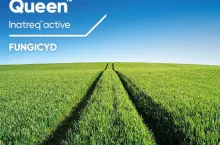 Nowy fungicyd w burakach. Plantatorzy dostają dodatkową broń na chwościka