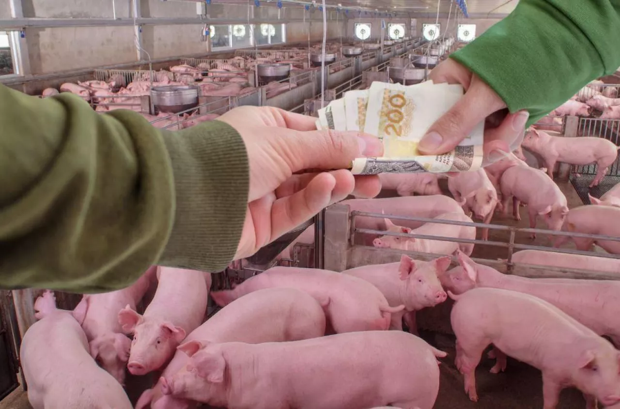 Rolnicy czekają na pieniądze z ARiMR. „Minęły 3 miesiące i nic”