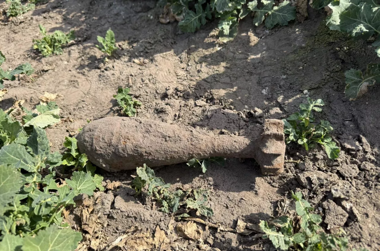 Rolnik znalazł niewybuch w polu. Co robić w takiej sytuacji?