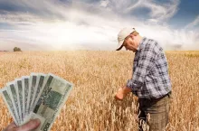 rolnik na polu pośród zboża, po lewej u rogu banknoty