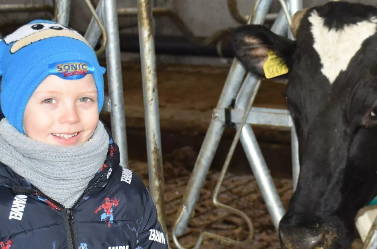 Najmłodszy gospodarz już na posterunku. Sprawdza, co słychać w oborze