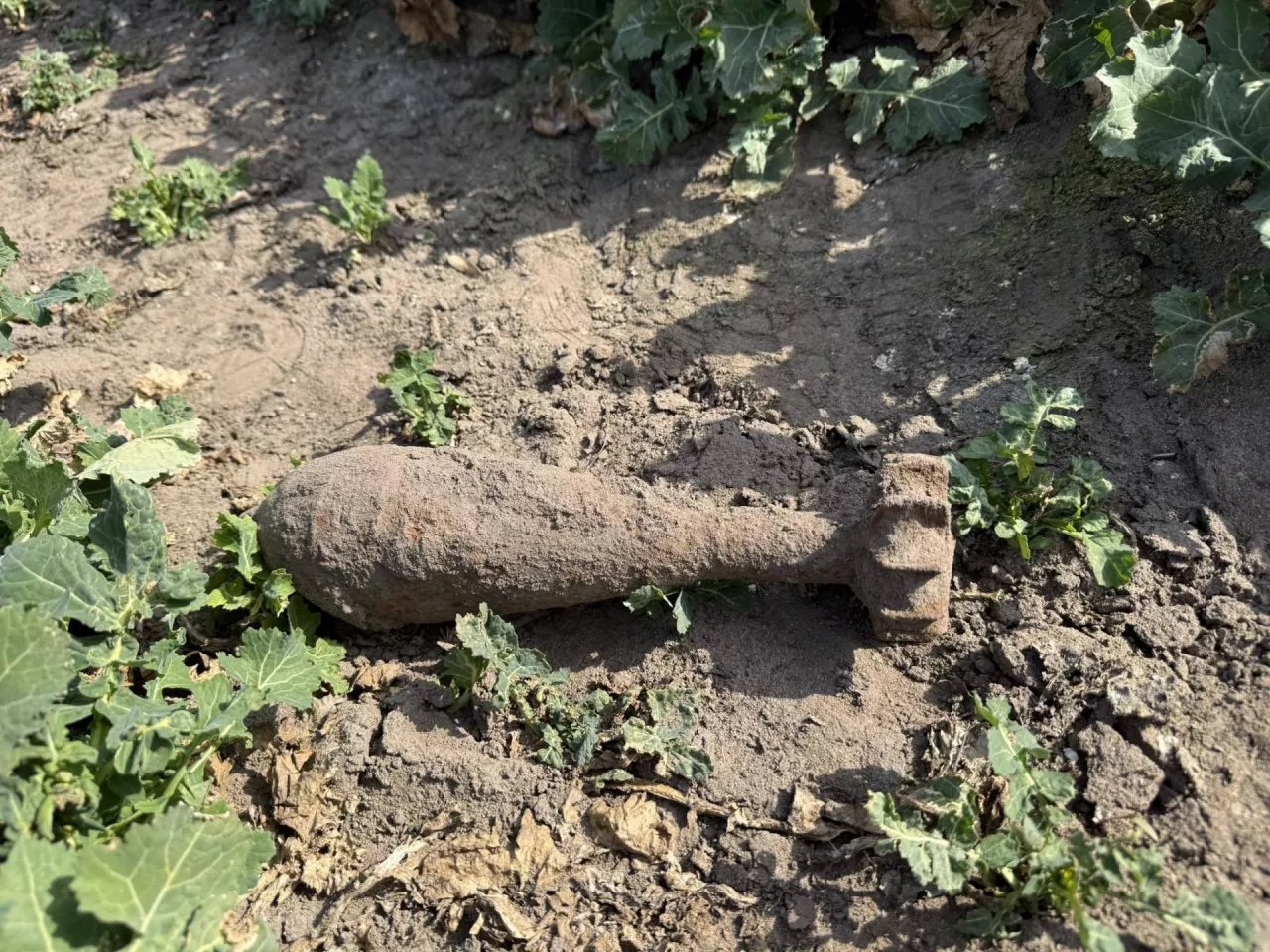 Niewybuchy na polach to nadal częste zjawisko