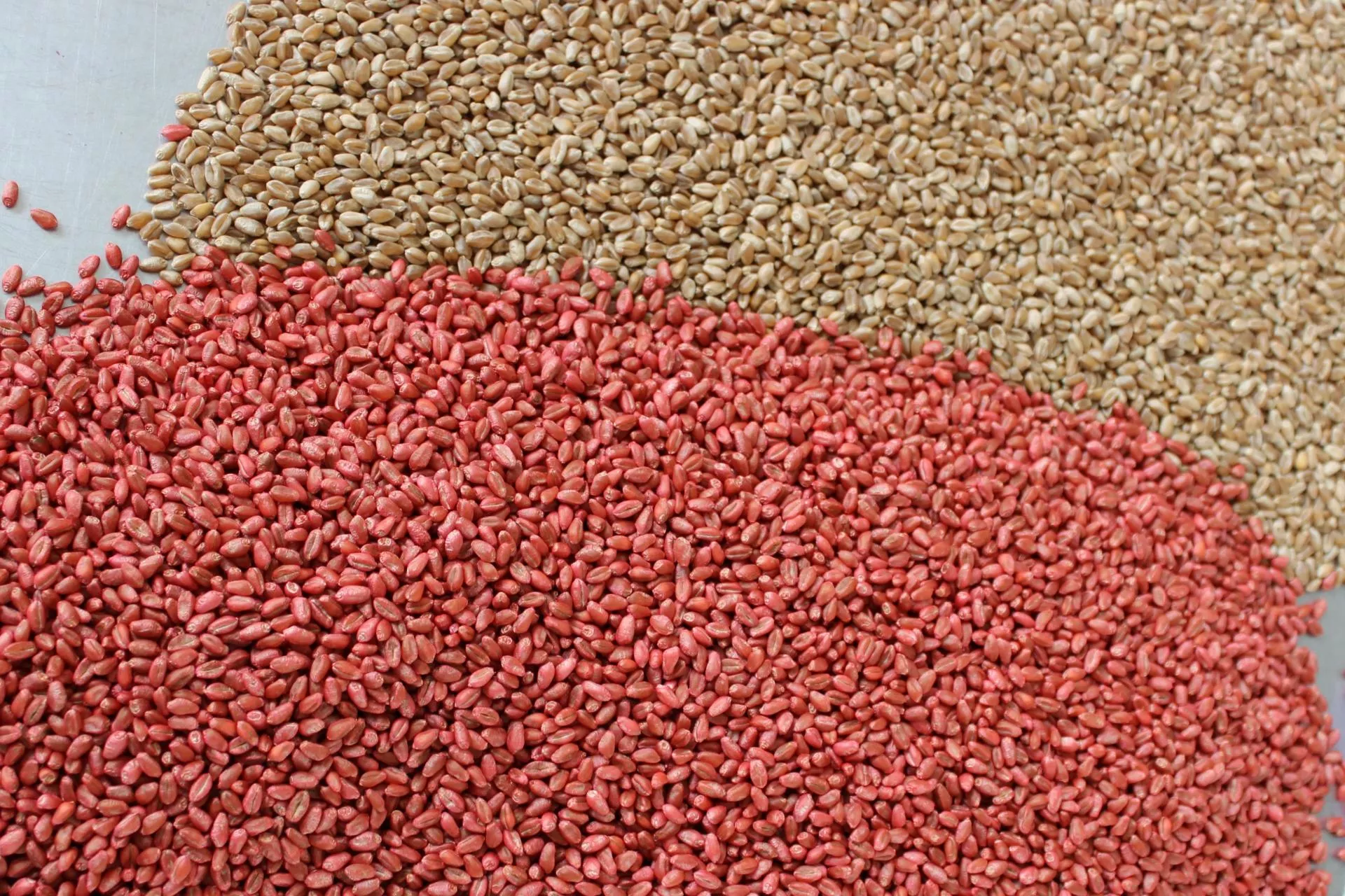 Dopłaty są, a rolnicy i tak nie kupują. Ten problem wraca co roku