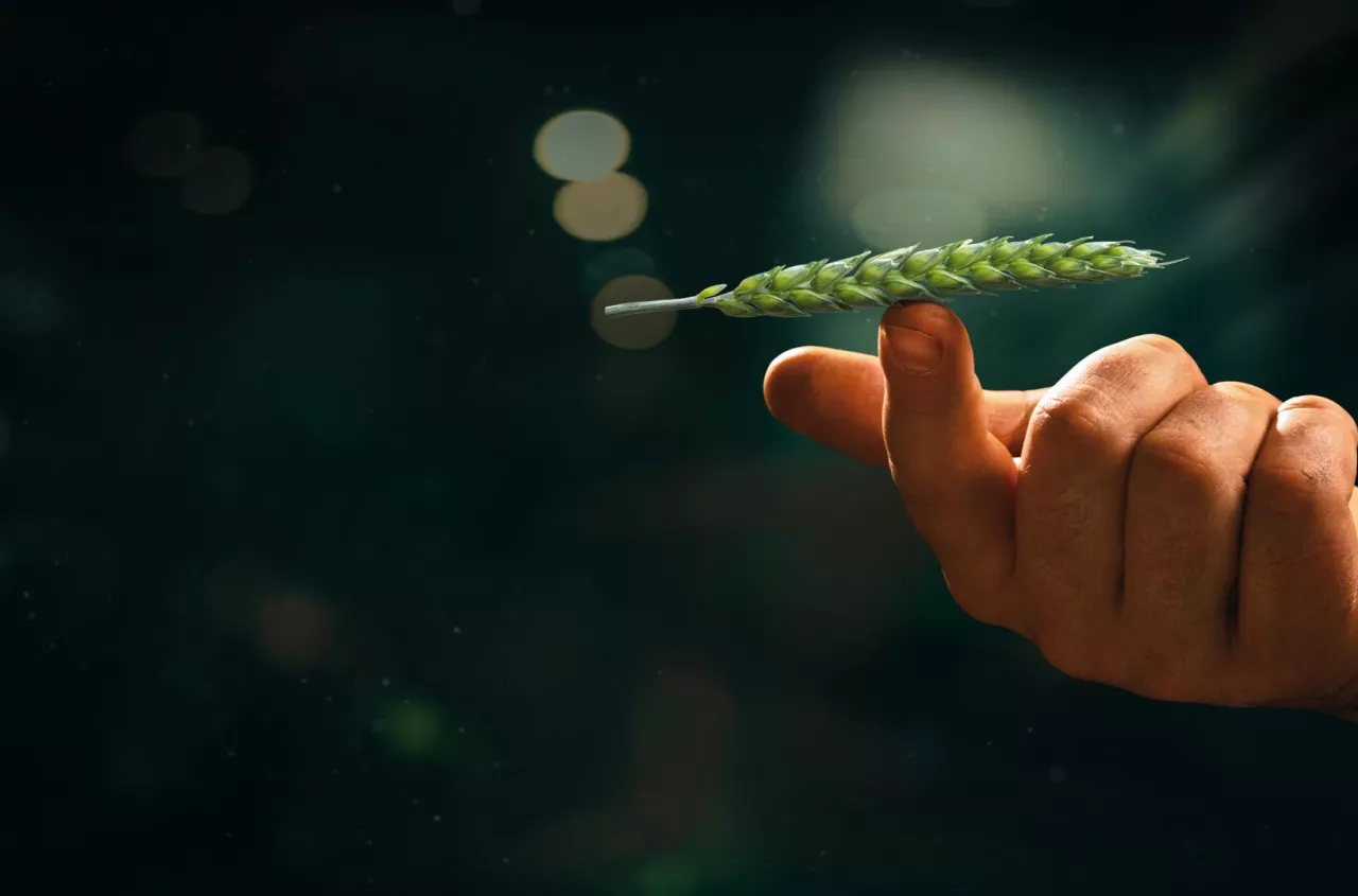 DAXUR® idealnie wyważone KORZYŚCI