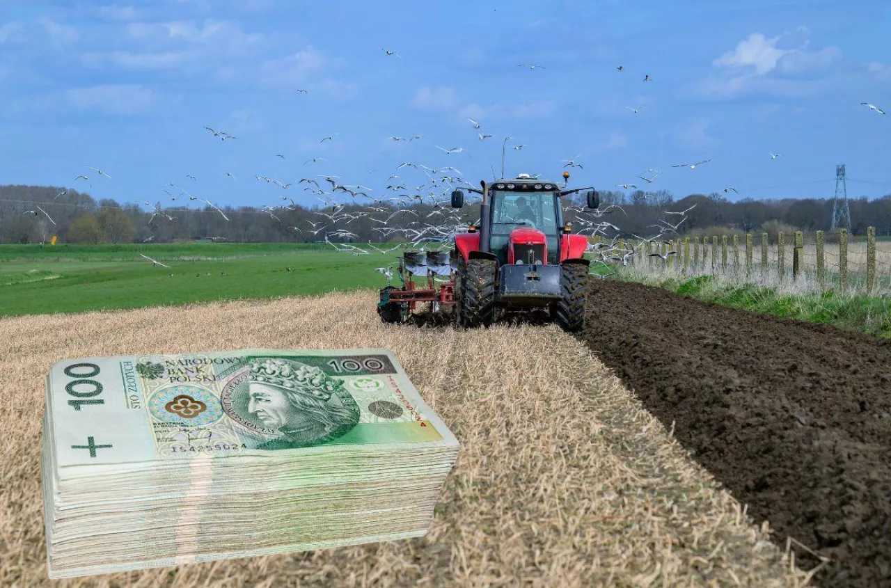 Ponad 110 ha ziemi do wzięcia. KOWR ogłasza przetarg