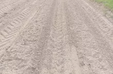 Żurawie zniszczyły zasiewy w gospodarstwie Kamila Skiby