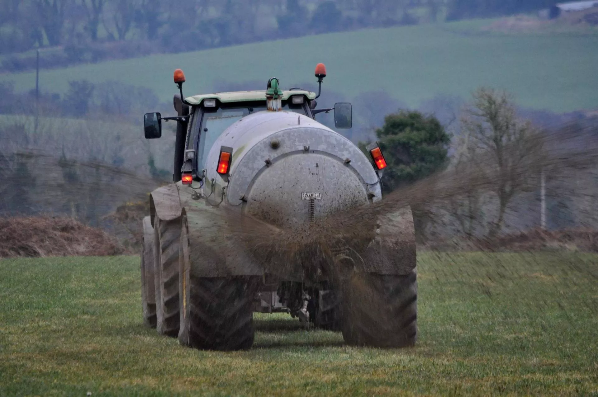 Ile gnojowicy i obornika pod kukurydzę? Te dawki robią plon
