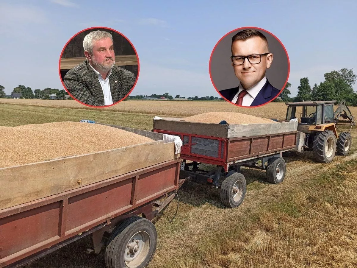 Zboże leży, port stoi. „Nikogo to nie obchodzi”