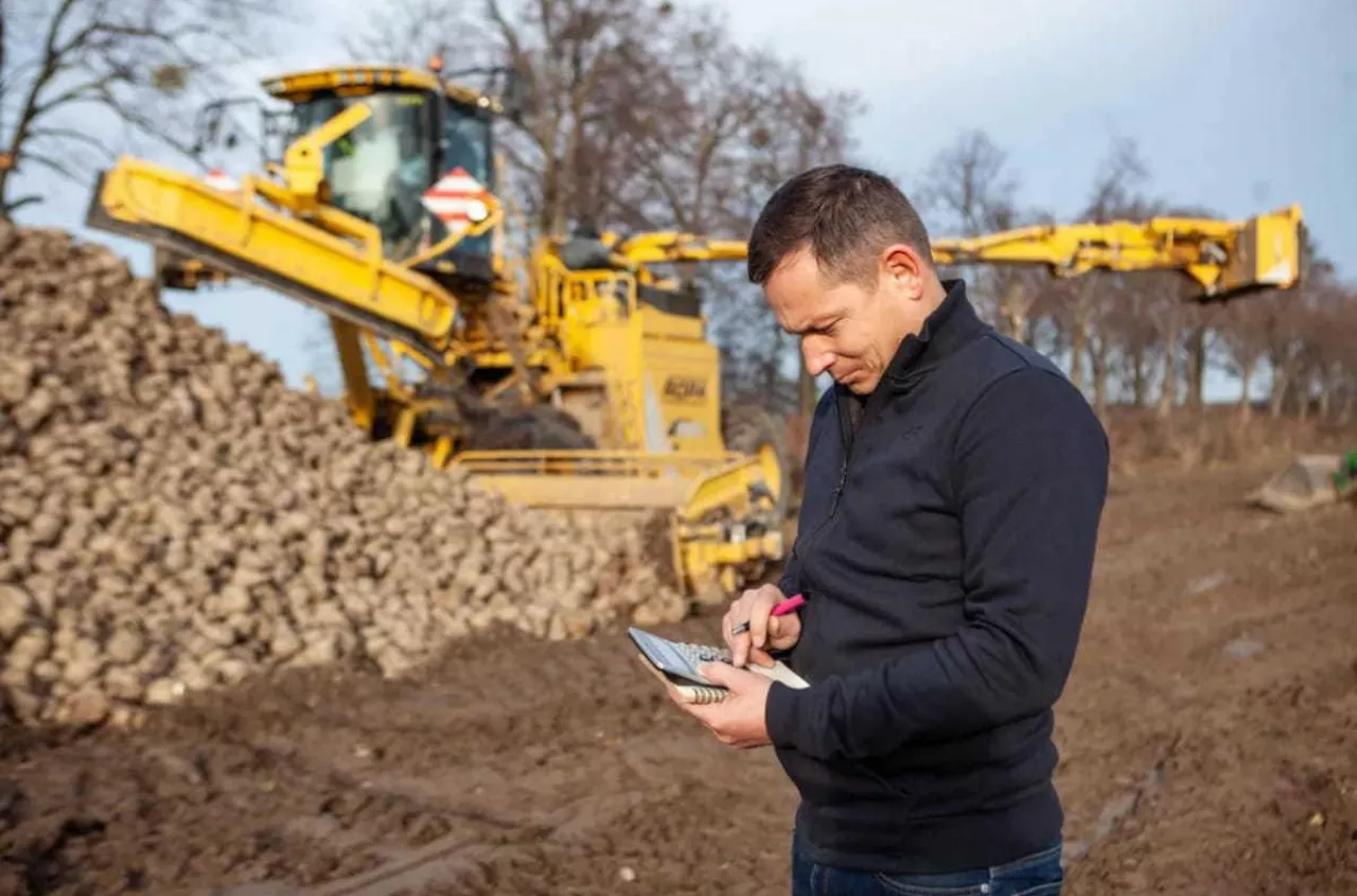 Kontrakty na buraki w dół. Rolnicy tracą, minister tłumaczy