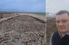 Kontrakt był, odbioru nie ma. 500 ton warzyw gnije w polu, a rolnikowi grozi bankructwo