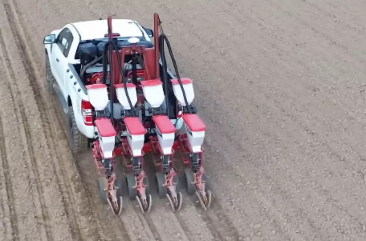 Kukurydzę sieją pickupem i odkurzaczami. Ten film robi furorę