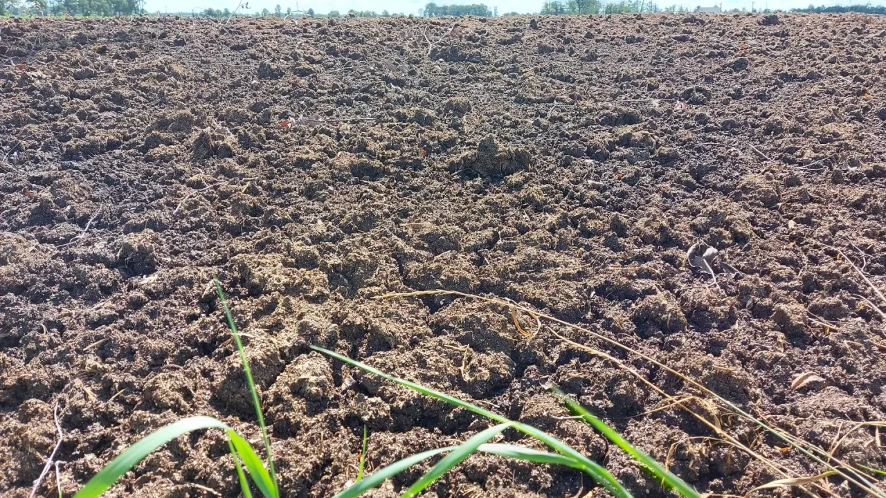 Pomiot kurzy zawiera sporo azotu, nawet 25 kg/t. Stosuje się więc go mniej niż obornika kurzego, który zawiera słomę zmniejszającą koncentrację azotu w nawozie.