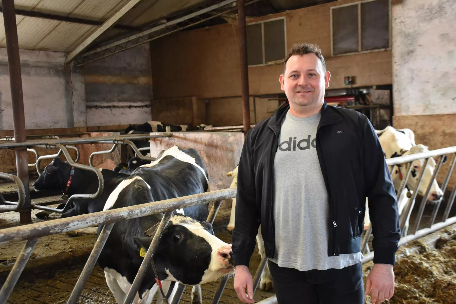 53 krowy zamiast 70, a mleka więcej. Jak to robi rolnik z Mazowsza?