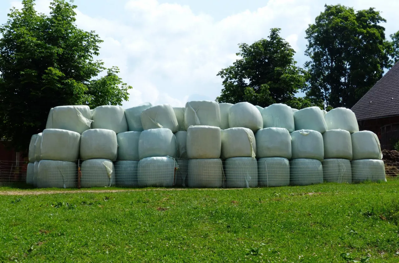 Ile dziś kosztuje bela siana, słomy i sianokiszonki? Sprawdziliśmy aktualne ceny