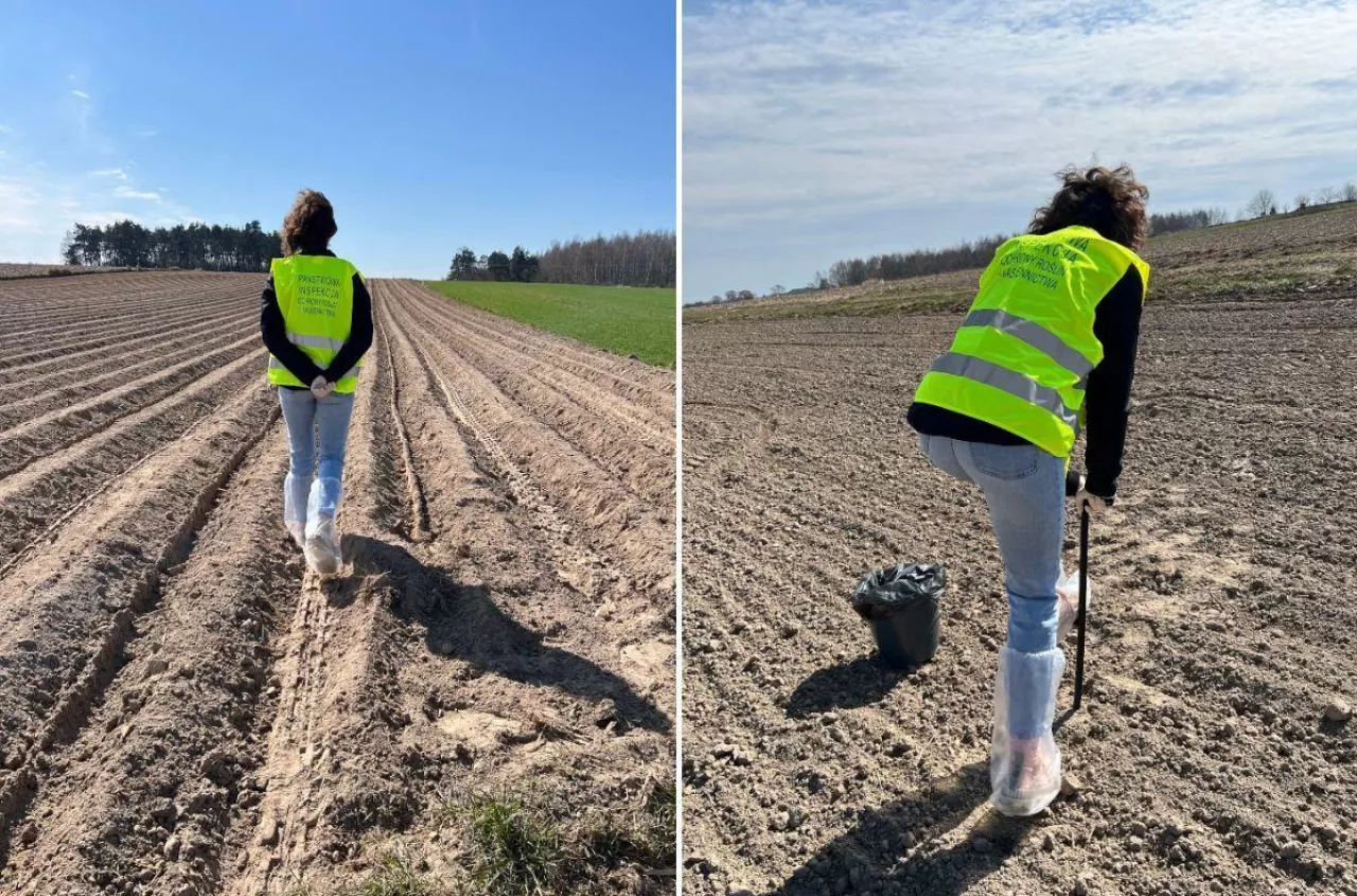 Ruszyły kontrole 2026 u rolników. Co inspektorzy sprawdzają na polach?