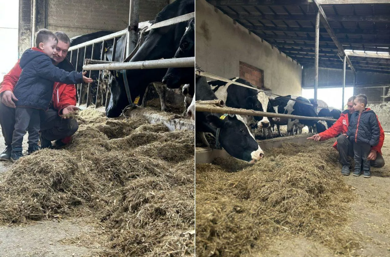 Cena mleka 70 gr w dół. Rolnik: „Po spłacie kredytów nic nie zostaje”