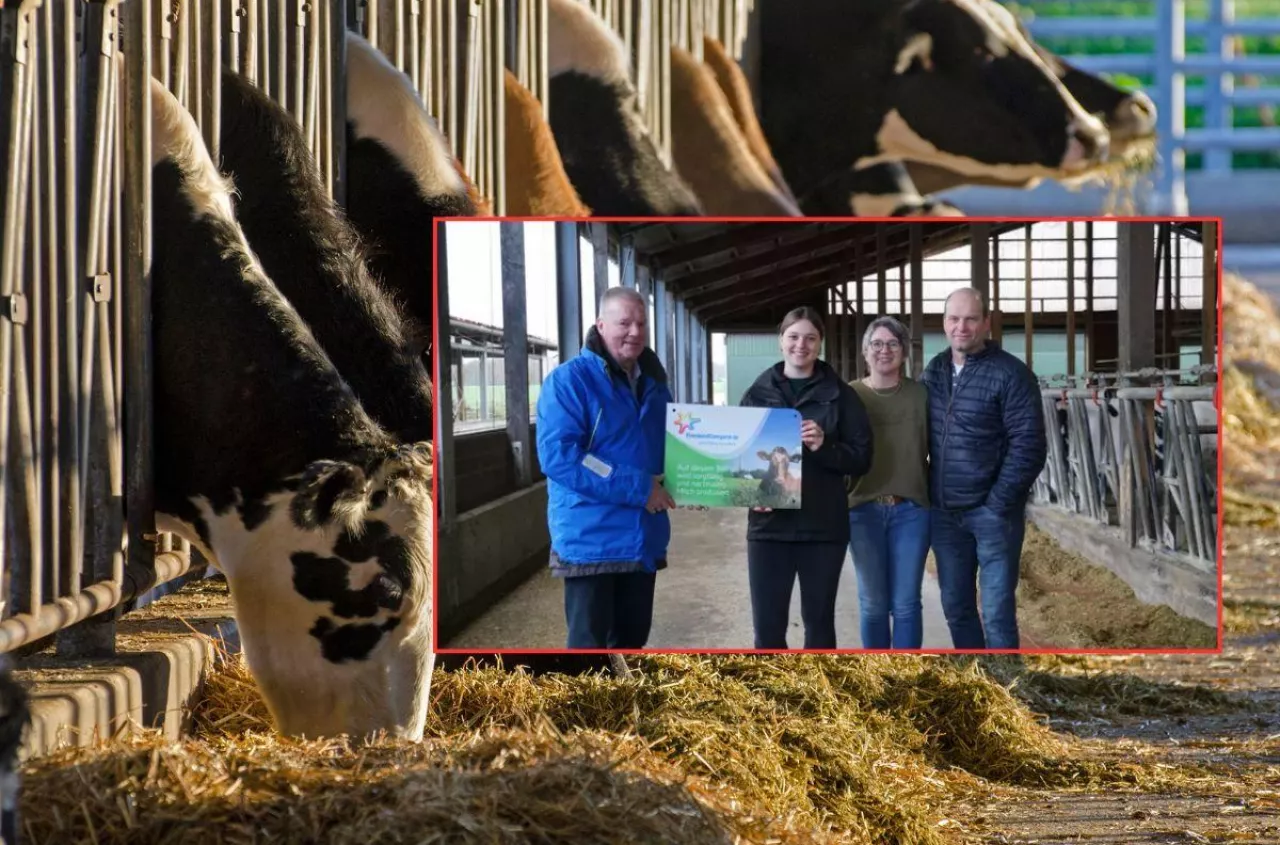 Rolnik zmienił mleczarnię. "Teraz to oni zabiegają o nasze mleko"