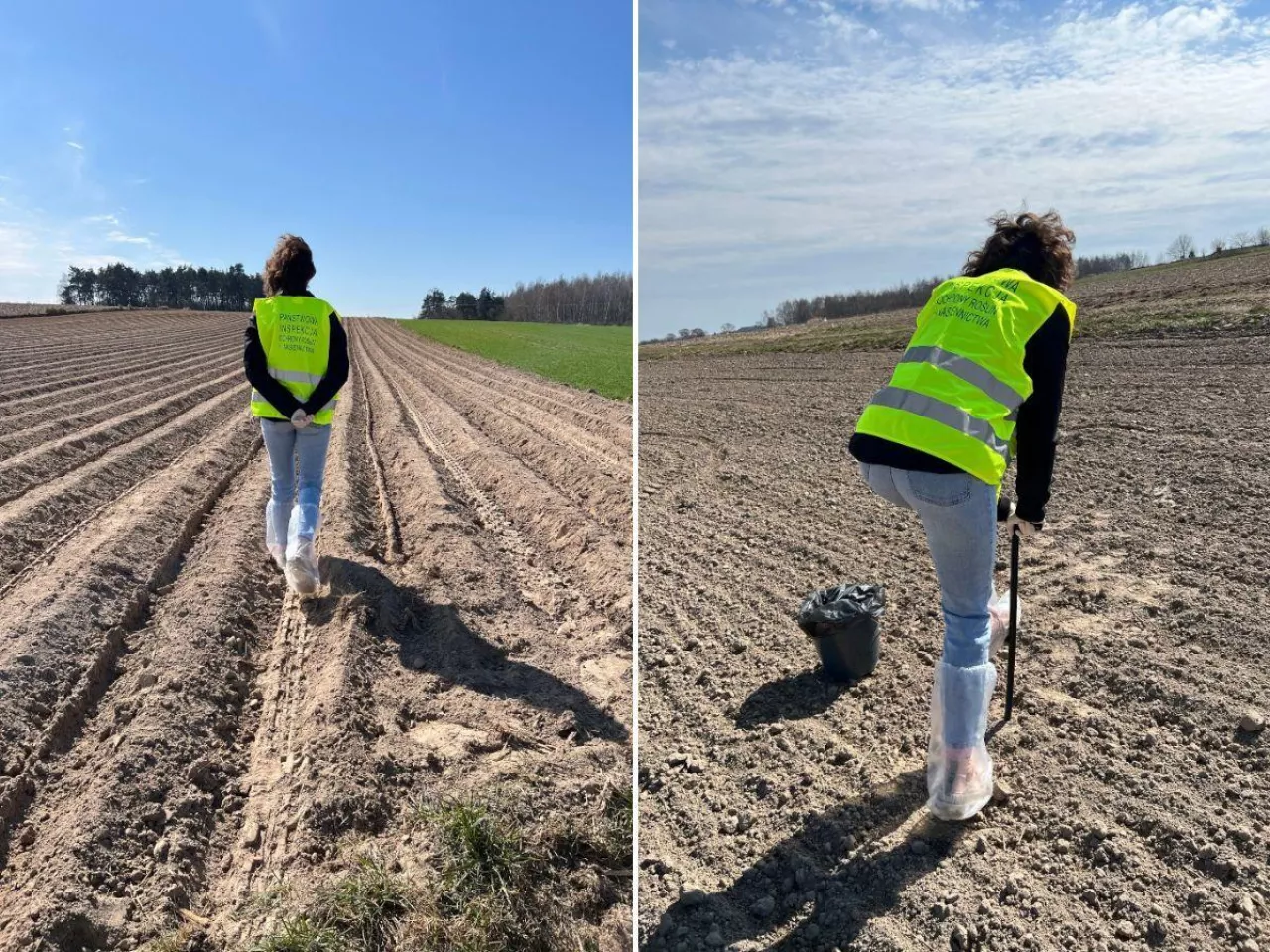 Ruszyły kontrole 2026 u rolników. Co inspektorzy sprawdzają na polach?