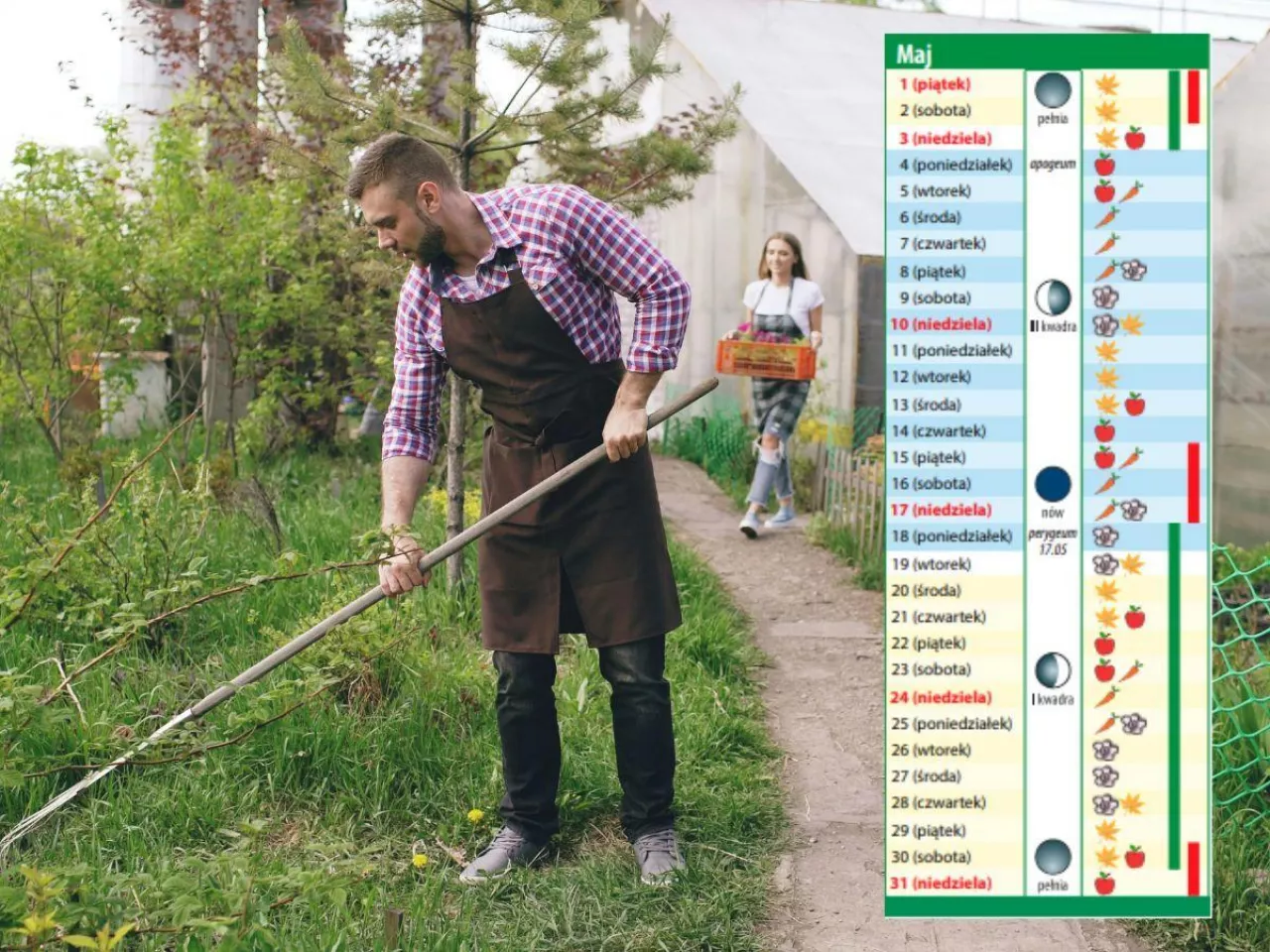 Maj 2026: najlepsze dni na siew i sadzenie. Sprawdź kalendarz biodynamiczny
