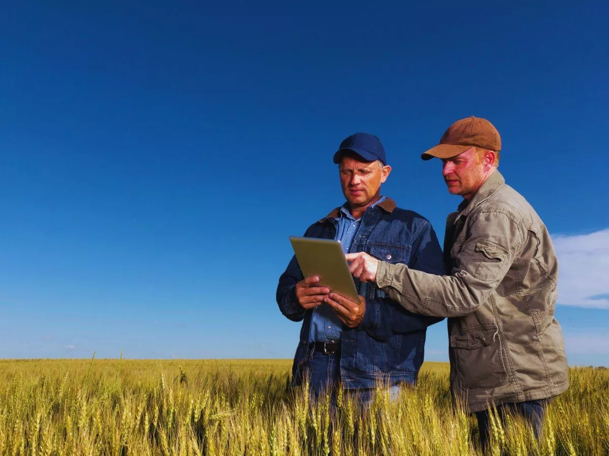 Rolnicy dostają mniej za wojsko niż w ZUS. Skąd ta różnica?