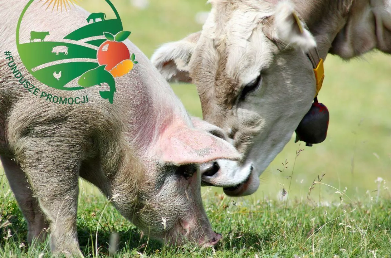 Ponad 100 mln zł z rocznie. Kto i na co wydaje pieniądze rolników?