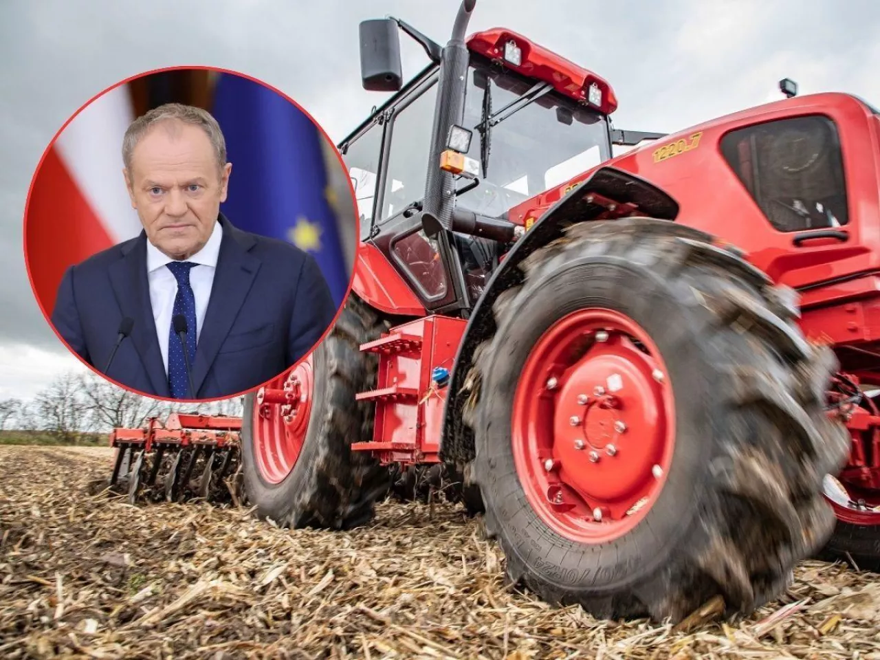 Sprawa Belarusów: legalizacja czy odszkodowania dla rolników