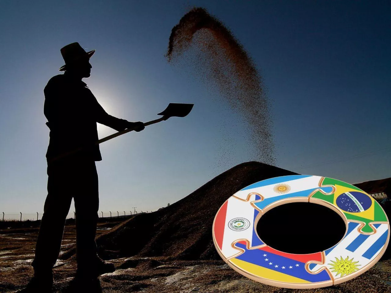 Mercosur rusza 1 maja. Jakie wsparcie dla rolników, gdy ceny skupu runą?